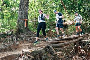 BIB: 
                            <button type="button" onclick="openModal(27716797)" class="btn btn-primary btn-sm float-right btn-popup" data-toggle="modal" data-target=".modal-high-quality">
                        <i class="fas fa-shopping-cart"></i> Add to Cart
                    </button>
                                            <button type="button" onclick="isThisMe(27716797, true)" class="btn btn-success btn-sm float-right btn-popup btn-isme hidden" data-toggle="tooltip" data-placement="bottom" title="นี่คือรูปของคุณใช่ไหม คลิกที่นี่เพื่อเอาเข้าอัลบั้ม">
                        <i class="fas fa-plus"></i> Add to album
                    </button>
                    <button type="button" onclick="isThisMe(27716797, false)" class="btn btn-warning btn-sm float-right btn-popup btn-isnotme hidden">
                        <i class="fas fa-ban"></i> Remove from album
                    </button>